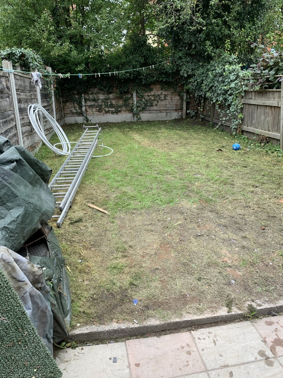 Original garden lawn before the landscaping work began